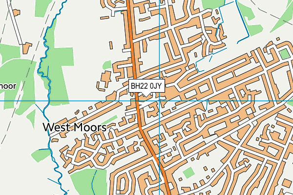 BH22 0JY map - OS VectorMap District (Ordnance Survey)