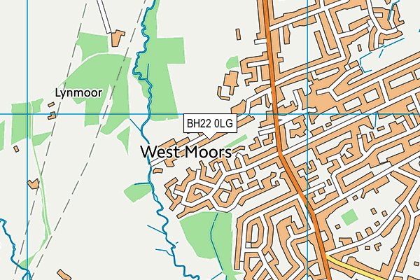 BH22 0LG map - OS VectorMap District (Ordnance Survey)