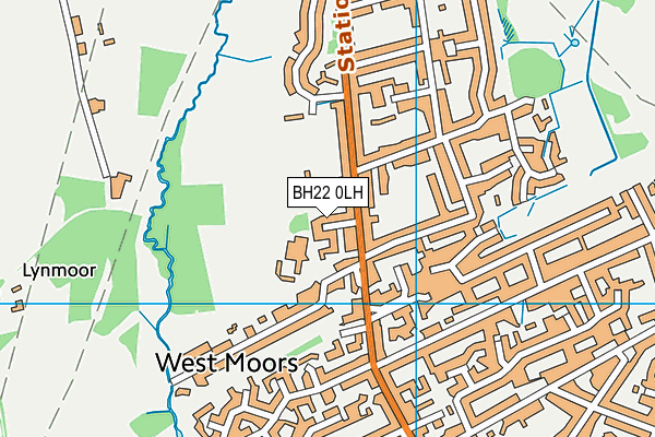 BH22 0LH map - OS VectorMap District (Ordnance Survey)