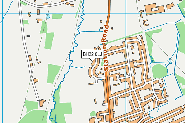 BH22 0LJ map - OS VectorMap District (Ordnance Survey)