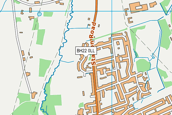 BH22 0LL map - OS VectorMap District (Ordnance Survey)