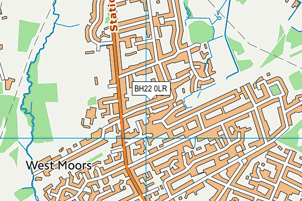 BH22 0LR map - OS VectorMap District (Ordnance Survey)