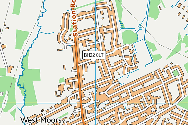 BH22 0LT map - OS VectorMap District (Ordnance Survey)