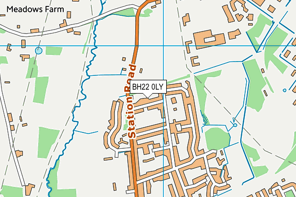 BH22 0LY map - OS VectorMap District (Ordnance Survey)