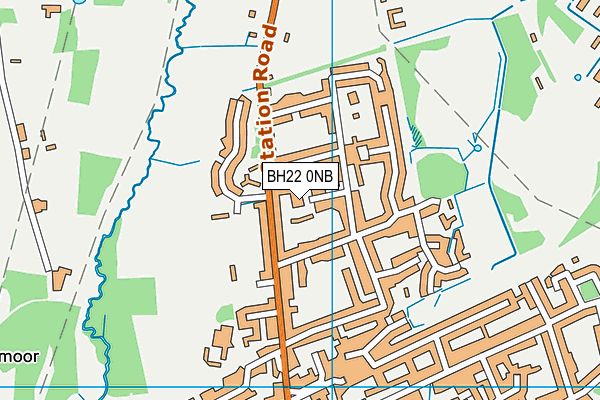 BH22 0NB map - OS VectorMap District (Ordnance Survey)