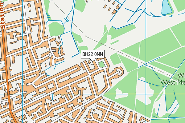 BH22 0NN map - OS VectorMap District (Ordnance Survey)
