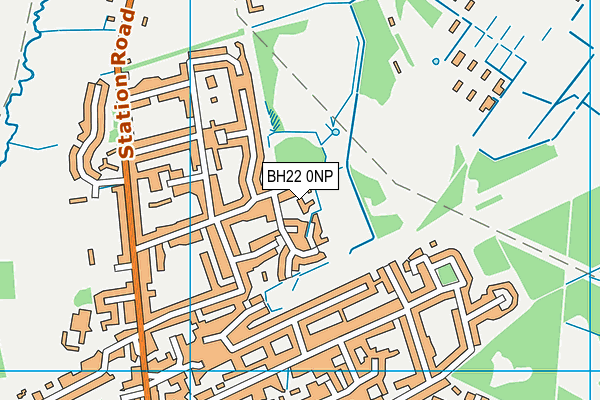 BH22 0NP map - OS VectorMap District (Ordnance Survey)