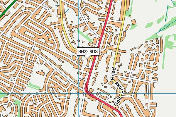 BH22 8DS map - OS VectorMap District (Ordnance Survey)