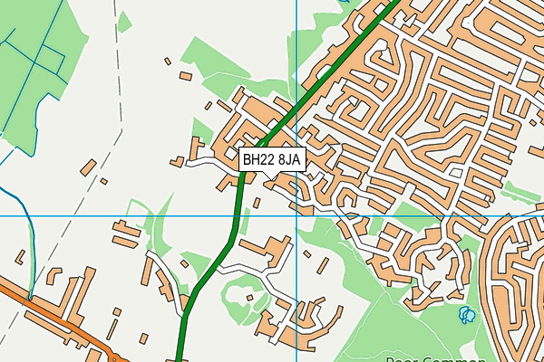 BH22 8JA map - OS VectorMap District (Ordnance Survey)