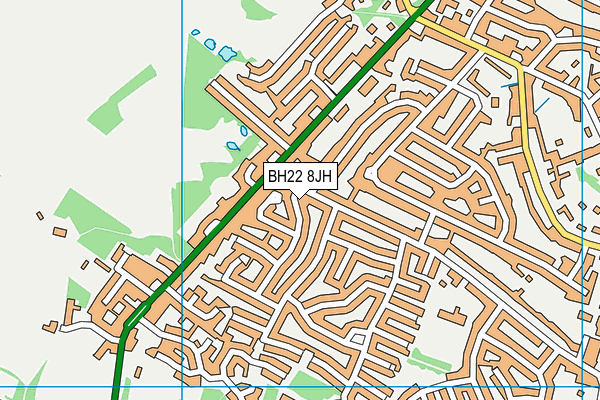 BH22 8JH map - OS VectorMap District (Ordnance Survey)