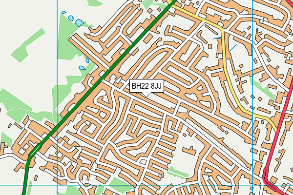 BH22 8JJ map - OS VectorMap District (Ordnance Survey)