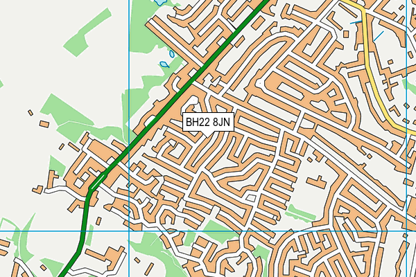 BH22 8JN map - OS VectorMap District (Ordnance Survey)