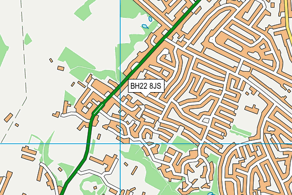 BH22 8JS map - OS VectorMap District (Ordnance Survey)