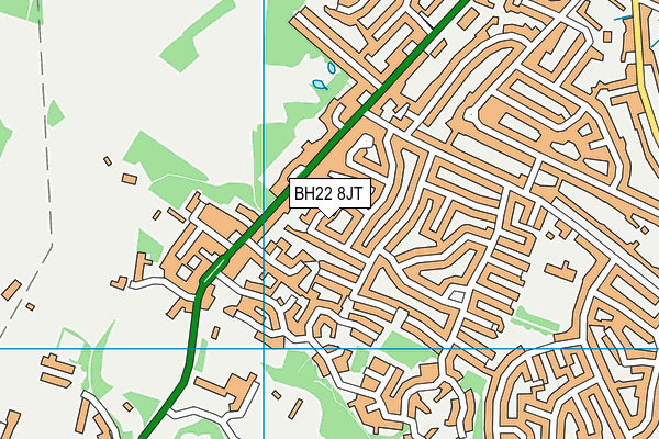 BH22 8JT map - OS VectorMap District (Ordnance Survey)