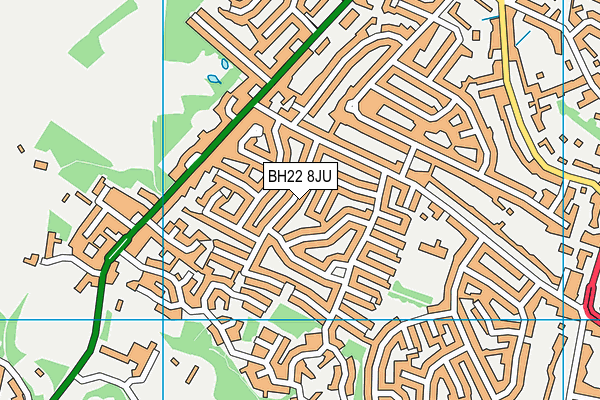 BH22 8JU map - OS VectorMap District (Ordnance Survey)