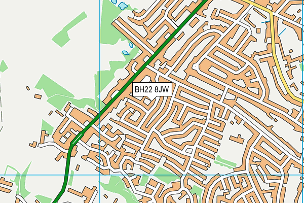 BH22 8JW map - OS VectorMap District (Ordnance Survey)