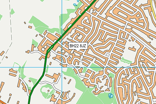 BH22 8JZ map - OS VectorMap District (Ordnance Survey)