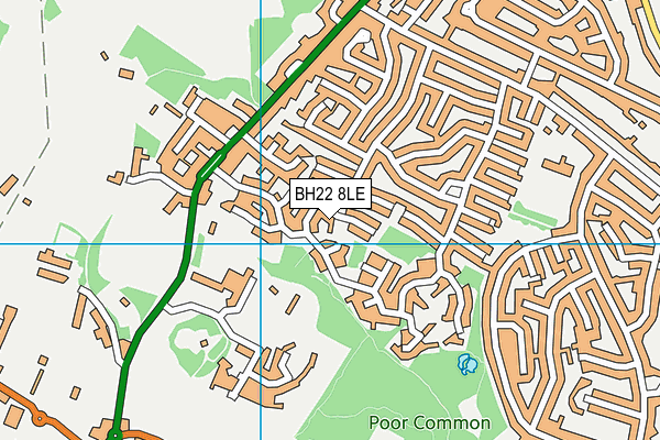 BH22 8LE map - OS VectorMap District (Ordnance Survey)