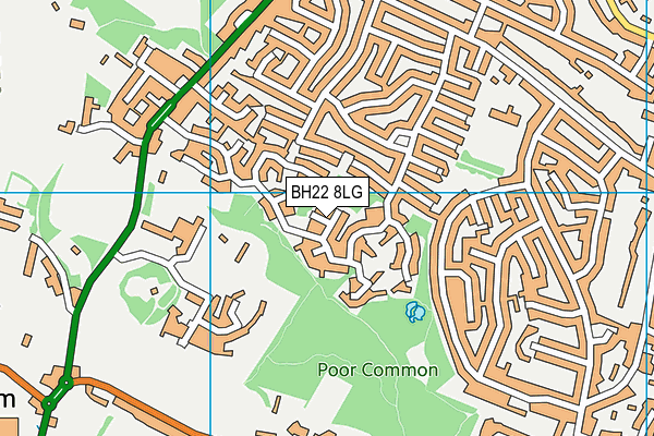 BH22 8LG map - OS VectorMap District (Ordnance Survey)