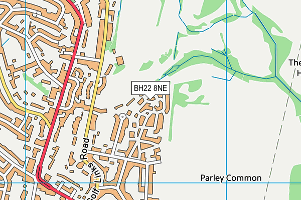 BH22 8NE map - OS VectorMap District (Ordnance Survey)