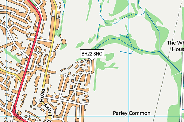 BH22 8NG map - OS VectorMap District (Ordnance Survey)