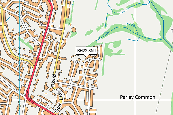BH22 8NJ map - OS VectorMap District (Ordnance Survey)