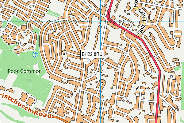 BH22 8RU map - OS VectorMap District (Ordnance Survey)