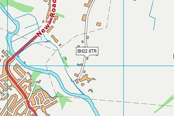 BH22 8TR map - OS VectorMap District (Ordnance Survey)