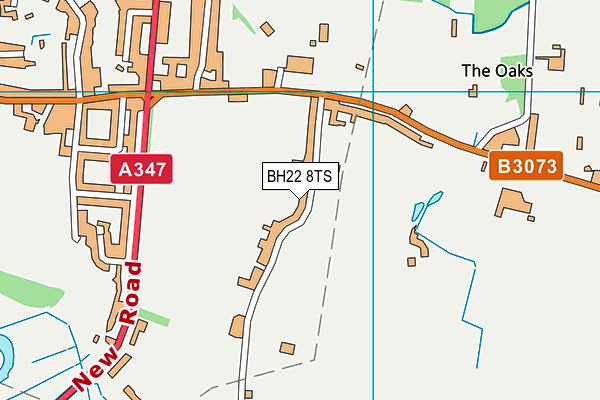 BH22 8TS map - OS VectorMap District (Ordnance Survey)
