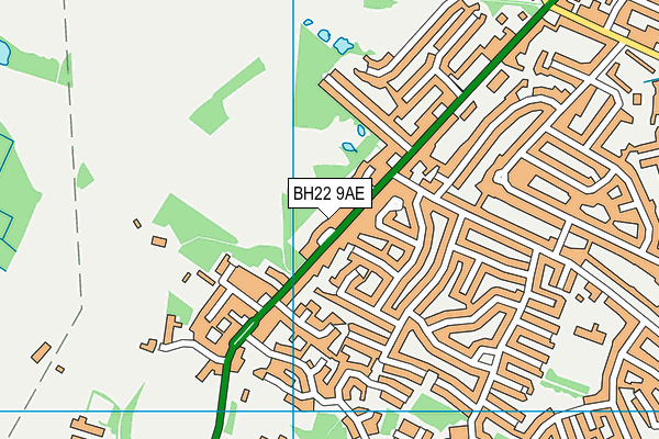 BH22 9AE map - OS VectorMap District (Ordnance Survey)
