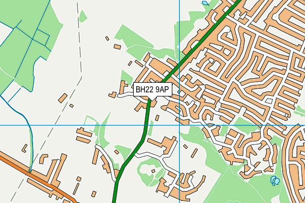 BH22 9AP map - OS VectorMap District (Ordnance Survey)