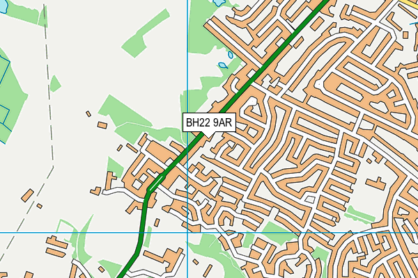 BH22 9AR map - OS VectorMap District (Ordnance Survey)