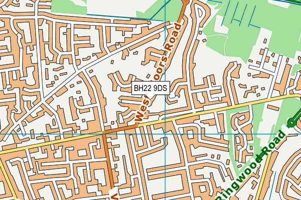 BH22 9DS map - OS VectorMap District (Ordnance Survey)