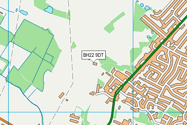 BH22 9DT map - OS VectorMap District (Ordnance Survey)