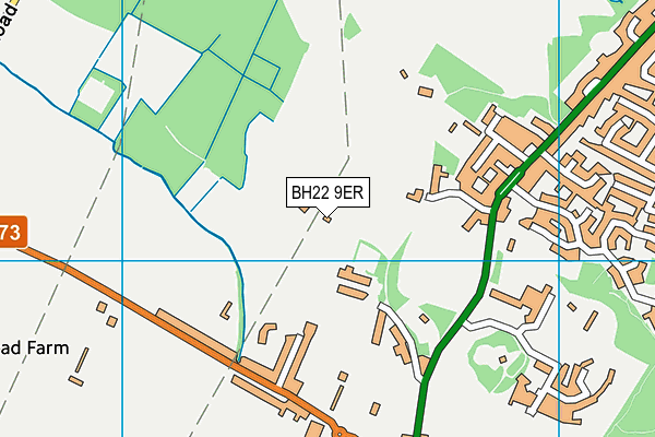 BH22 9ER map - OS VectorMap District (Ordnance Survey)