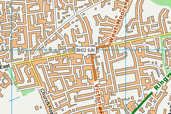 BH22 9JN map - OS VectorMap District (Ordnance Survey)
