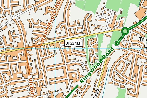 BH22 9LH map - OS VectorMap District (Ordnance Survey)