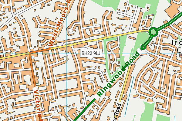 BH22 9LJ map - OS VectorMap District (Ordnance Survey)