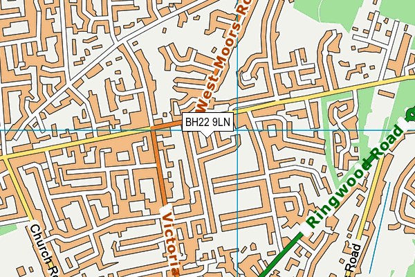 BH22 9LN map - OS VectorMap District (Ordnance Survey)