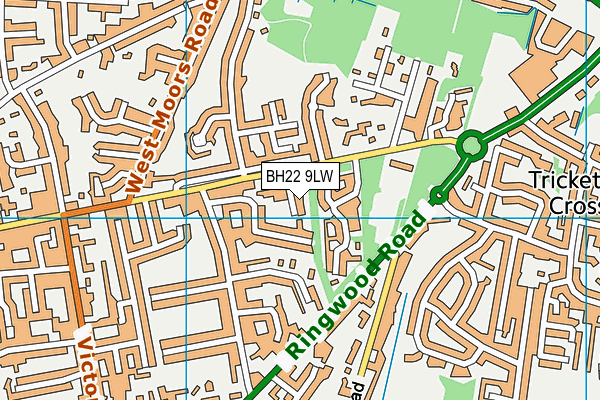 BH22 9LW map - OS VectorMap District (Ordnance Survey)