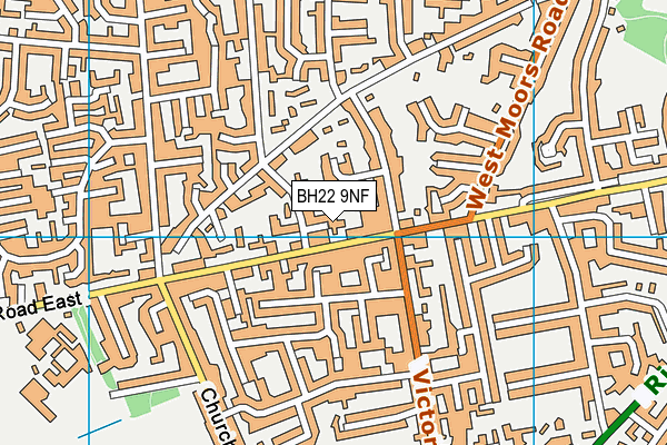 BH22 9NF map - OS VectorMap District (Ordnance Survey)