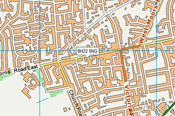 BH22 9NG map - OS VectorMap District (Ordnance Survey)