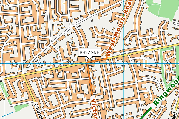 BH22 9NH map - OS VectorMap District (Ordnance Survey)