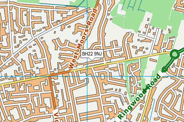 BH22 9NJ map - OS VectorMap District (Ordnance Survey)