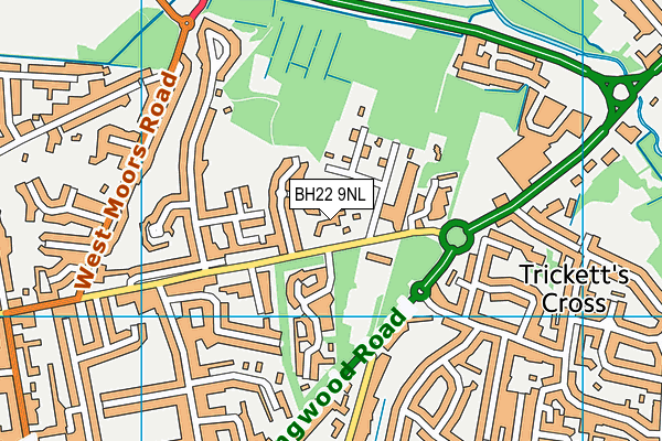 BH22 9NL map - OS VectorMap District (Ordnance Survey)