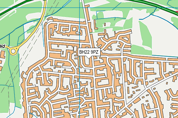 BH22 9PZ map - OS VectorMap District (Ordnance Survey)