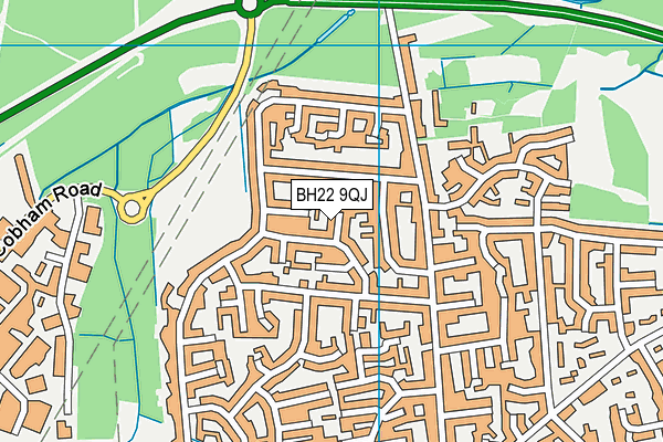 BH22 9QJ map - OS VectorMap District (Ordnance Survey)