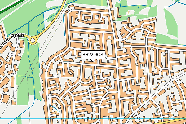 BH22 9QS map - OS VectorMap District (Ordnance Survey)