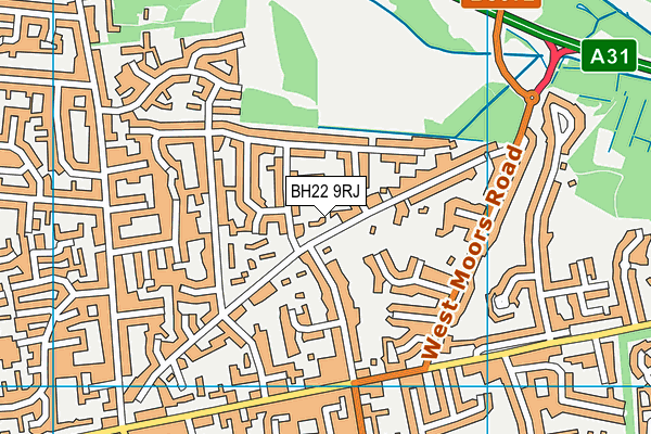BH22 9RJ map - OS VectorMap District (Ordnance Survey)