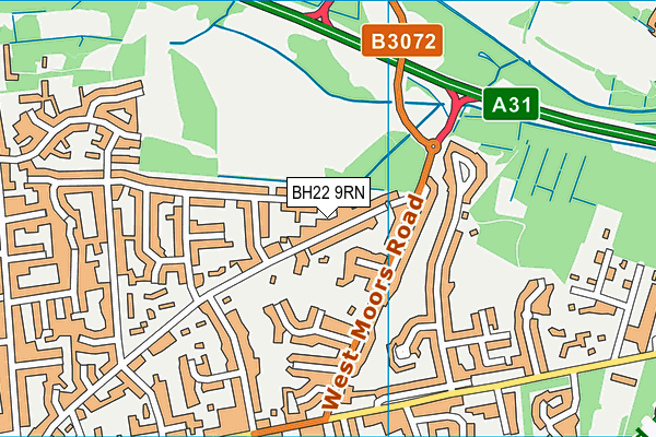 BH22 9RN map - OS VectorMap District (Ordnance Survey)